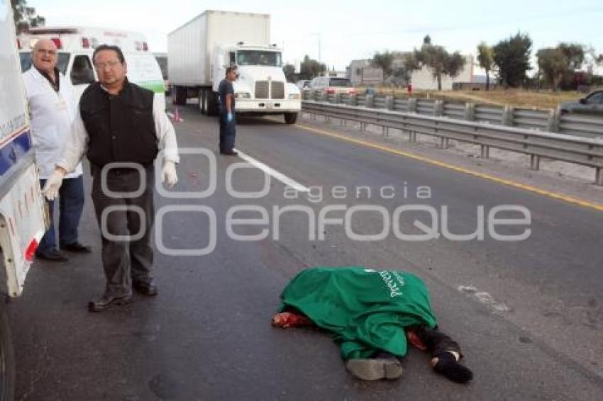 ATROPELLADO EN AUTOPISTA