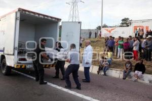 ATROPELLADO EN AUTOPISTA