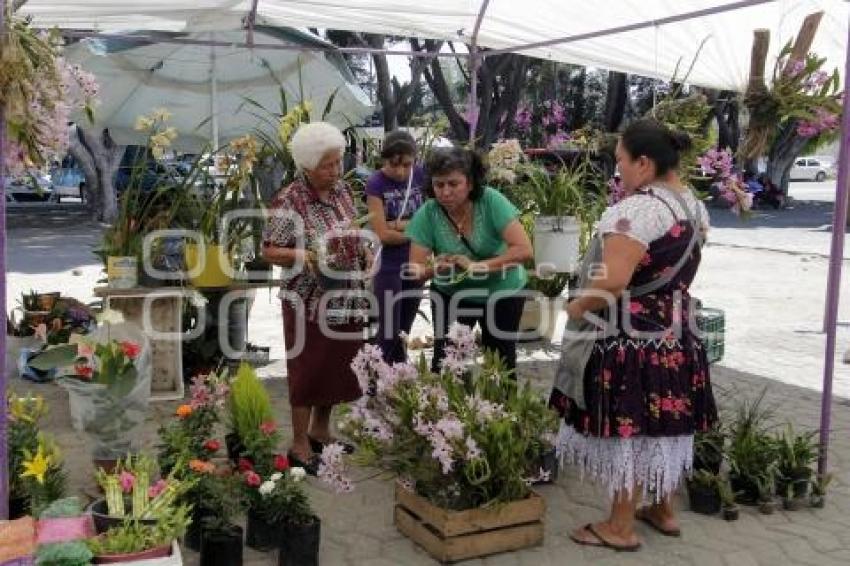 TIANGUIS DE PLANTAS