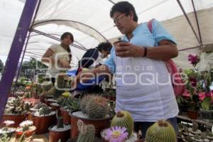 TIANGUIS DE PLANTAS