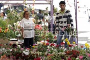 TIANGUIS DE PLANTAS