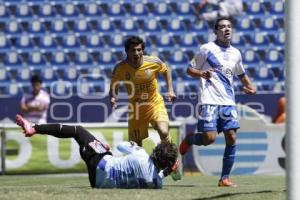 PUEBLA VS TIGRES . LIGA MX