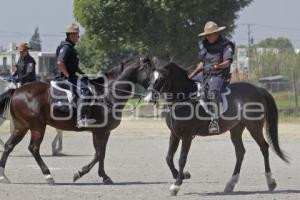 POLICÍA MONTADA