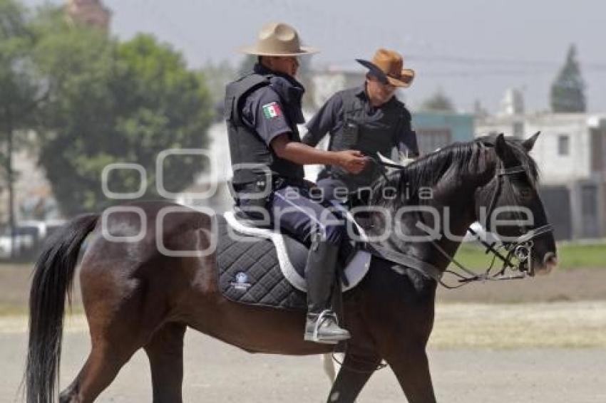 POLICÍA MONTADA