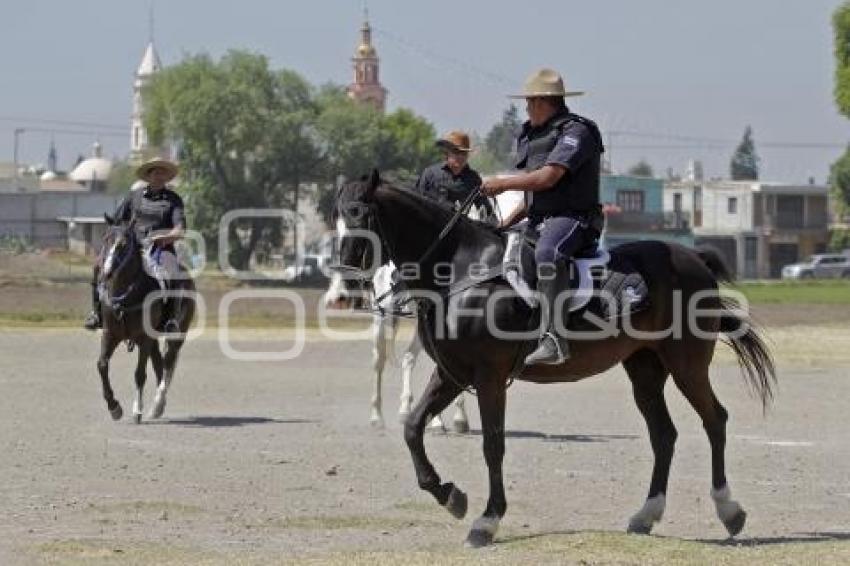 POLICÍA MONTADA