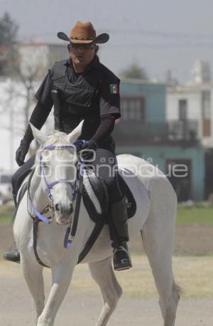 POLICÍA MONTADA