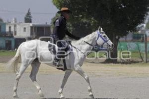 POLICÍA MONTADA