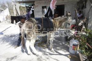 SAN JOSÉ XAXAMAYO . DÍA DEL AGUA