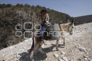 SAN JOSÉ XAXAMAYO . DÍA DEL AGUA