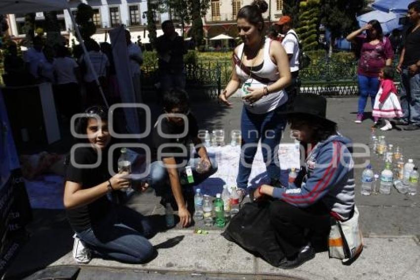 DÍA MUNDIAL SIN CARNE