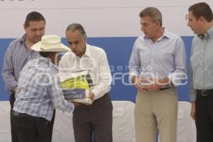 GOBIERNO . COLECTOR PLUVIAL CHAPULCO