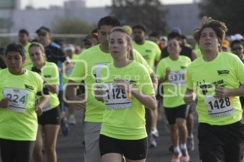 CARRERA EXERSITE