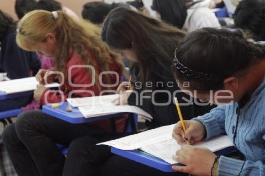 PRUEBA ENLACE