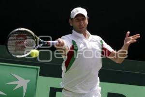 COPA DAVIS . DOBLES