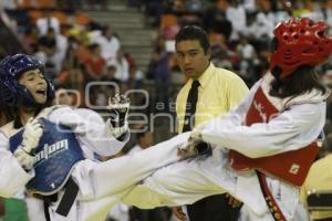 CHALLENGER DE TAEKWONDO