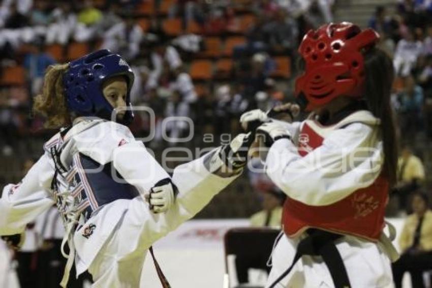 CHALLENGER DE TAEKWONDO