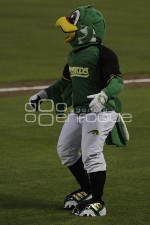 PERICOS VS BRONCOS . BEISBOL