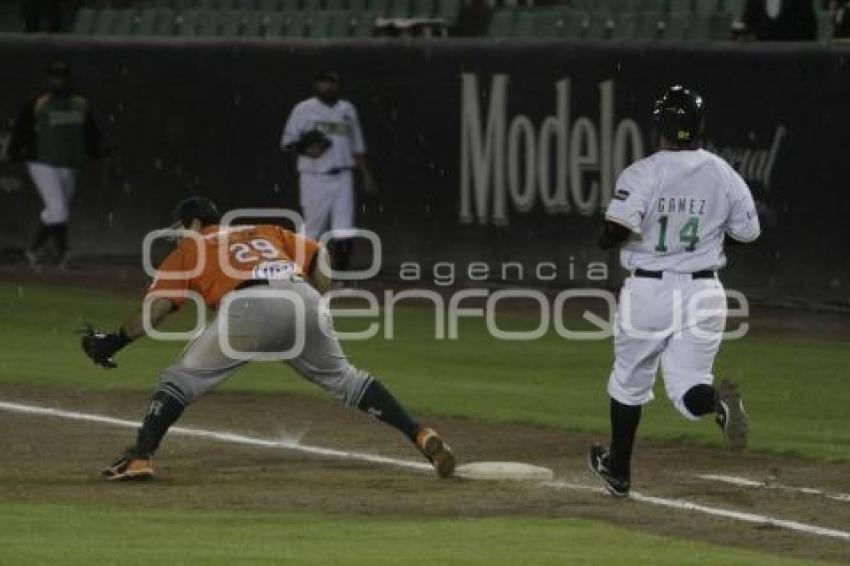 PERICOS VS BRONCOS . BEISBOL