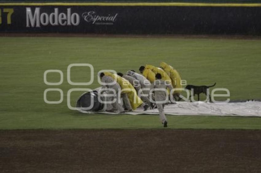 PERICOS VS BRONCOS . BEISBOL