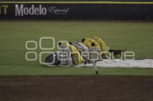 PERICOS VS BRONCOS . BEISBOL