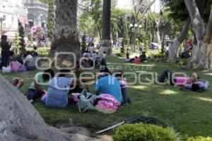 DOMINGO EN EL ZÓCALO