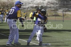 CAMPEONATO NACIONAL DE BEISBOL