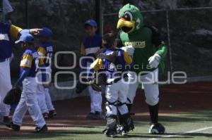 CAMPEONATO NACIONAL DE BEISBOL