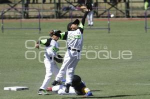 CAMPEONATO NACIONAL DE BEISBOL