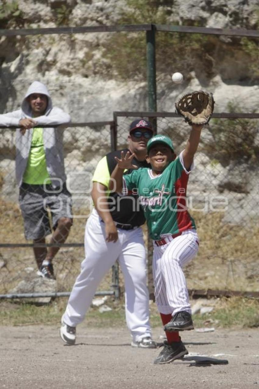 CAMPEONATO NACIONAL DE BEISBOL