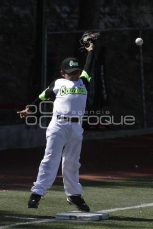 CAMPEONATO NACIONAL DE BEISBOL