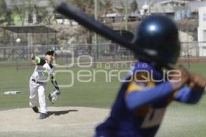 CAMPEONATO NACIONAL DE BEISBOL