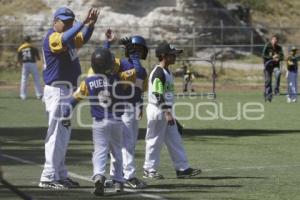 CAMPEONATO NACIONAL DE BEISBOL