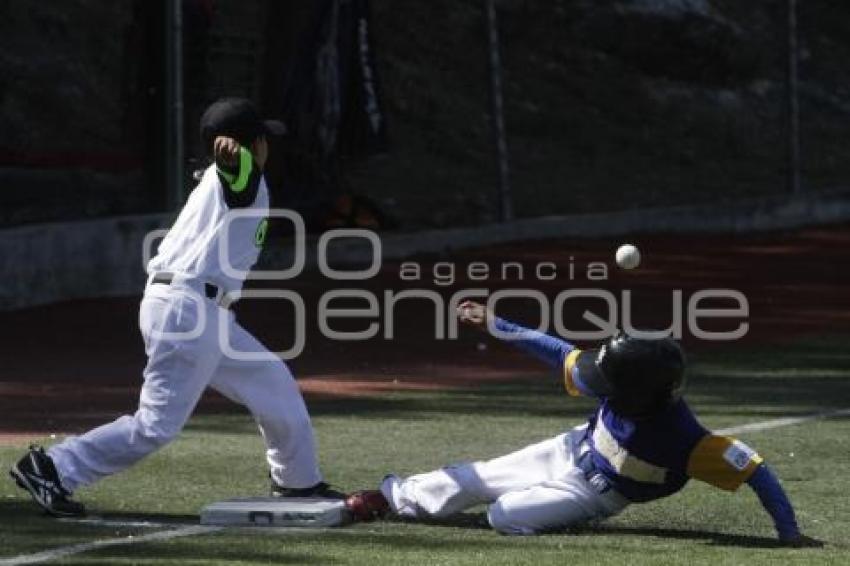 CAMPEONATO NACIONAL DE BEISBOL