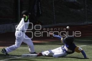 CAMPEONATO NACIONAL DE BEISBOL