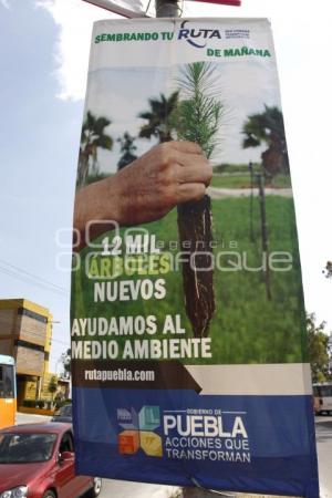 LONA RUTA. SEMBRADO DE ÁRBOLES