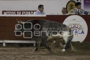 TORO MI CIELO. PRIMER CORRIDA FERIA