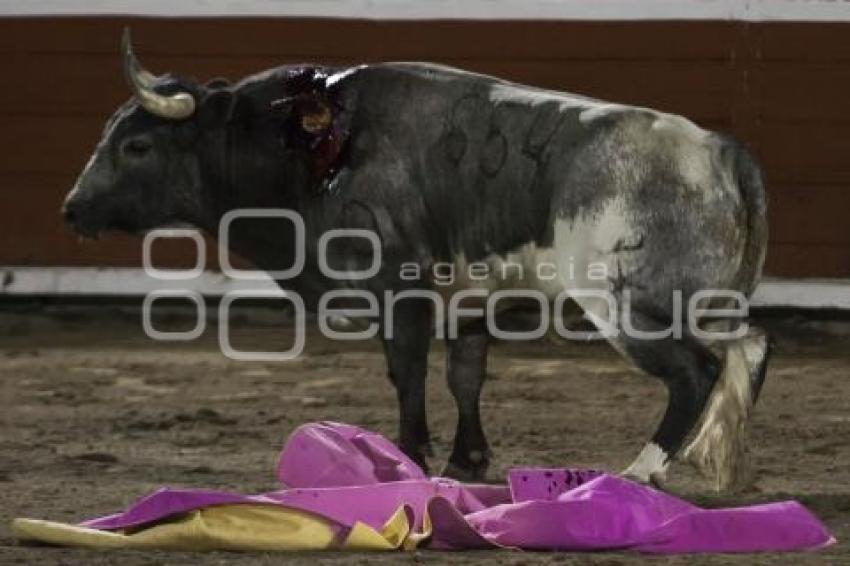 TORO MI CIELO. PRIMER CORRIDA FERIA