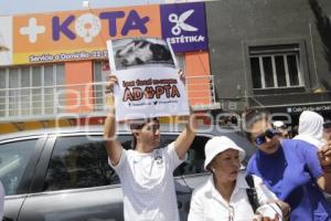 MANIFESTACIÓN . ANIMALES