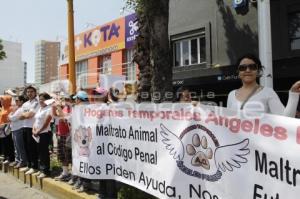 MANIFESTACIÓN . ANIMALES