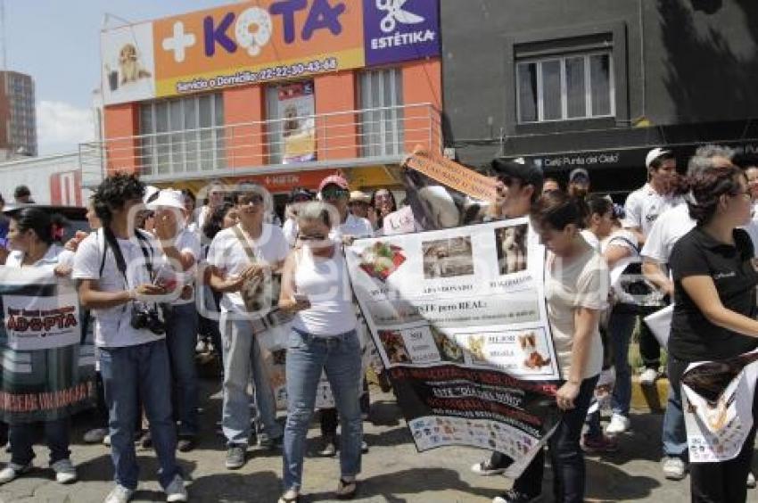 MANIFESTACIÓN . ANIMALES