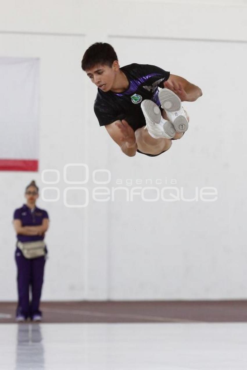 GIMNASIA. UNIVERSIADA 2014