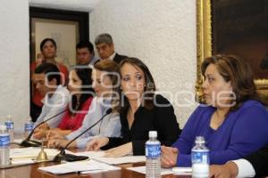 COMISION PERMANENTE DIPUTADOS ORDINARIA CONGRESO