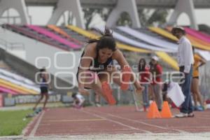 UNIVERSIADA NACIONAL . SALTO DE LONGITUD