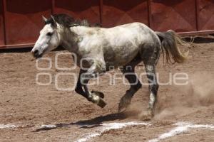 CAMPEONATO DE CHARRO