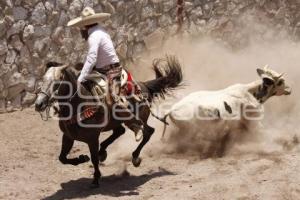 CAMPEONATO DE CHARRO