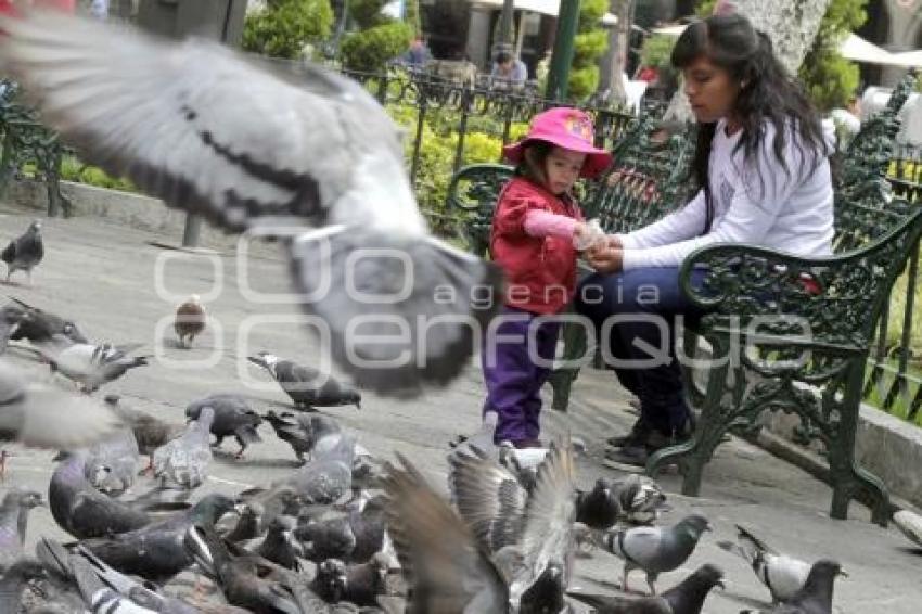 DÍA DE LAS MADRES