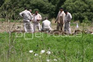 TOMA CLANDESTINA . EL VERDE