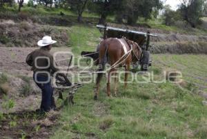 CAMPESINO CON EL ARADO