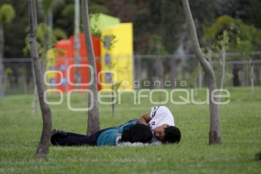 DÍA MUNDIAL DEL MEDIO AMBIENTE