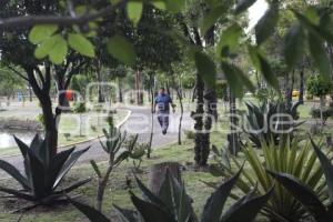 DÍA MUNDIAL DEL MEDIO AMBIENTE